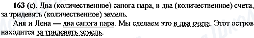 ГДЗ Русский язык 10 класс страница 163(с)