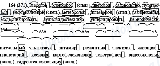 ГДЗ Російська мова 10 клас сторінка 164(371)