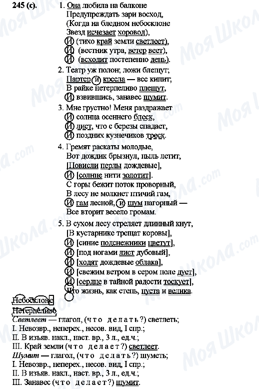 ГДЗ Російська мова 10 клас сторінка 245(с)