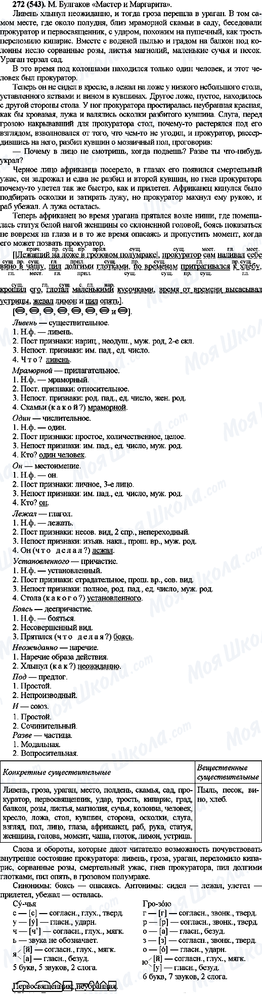 ГДЗ Русский язык 10 класс страница 272(543)