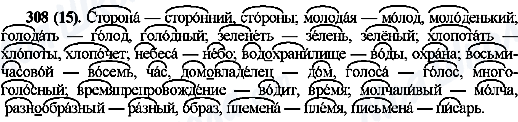 ГДЗ Русский язык 10 класс страница 308(15)