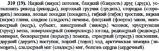ГДЗ Русский язык 10 класс страница 310(19)