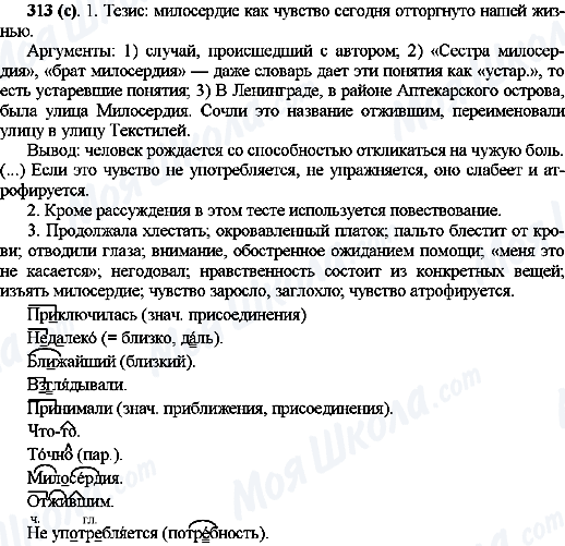 ГДЗ Русский язык 10 класс страница 313(с)