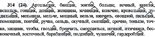 ГДЗ Російська мова 10 клас сторінка 314(24)