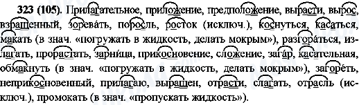 ГДЗ Російська мова 10 клас сторінка 323(105)