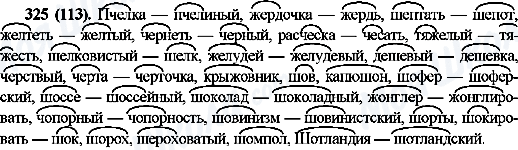 ГДЗ Русский язык 10 класс страница 325(113)