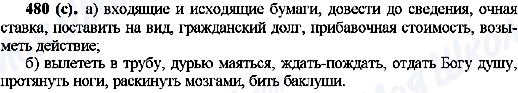 ГДЗ Русский язык 10 класс страница 480(с)