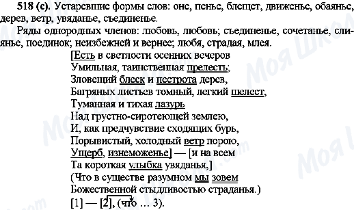 ГДЗ Русский язык 10 класс страница 518(с)