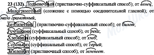 ГДЗ Російська мова 10 клас сторінка 23(132)