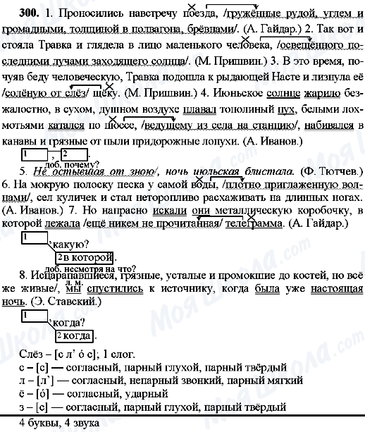 ГДЗ Російська мова 8 клас сторінка 300