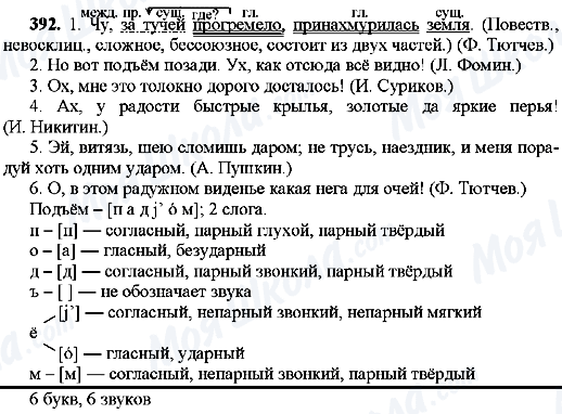 ГДЗ Російська мова 8 клас сторінка 392