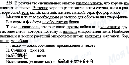 ГДЗ Русский язык 8 класс страница 229