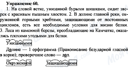 ГДЗ Російська мова 7 клас сторінка Упр.60