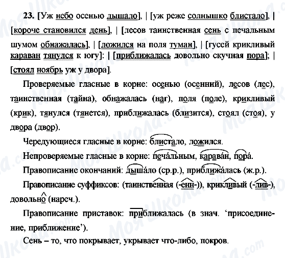 ГДЗ Російська мова 9 клас сторінка 23