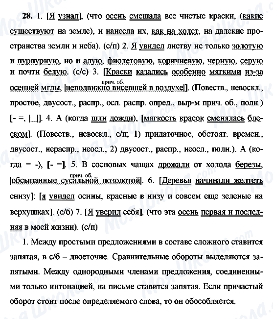 ГДЗ Російська мова 9 клас сторінка 28