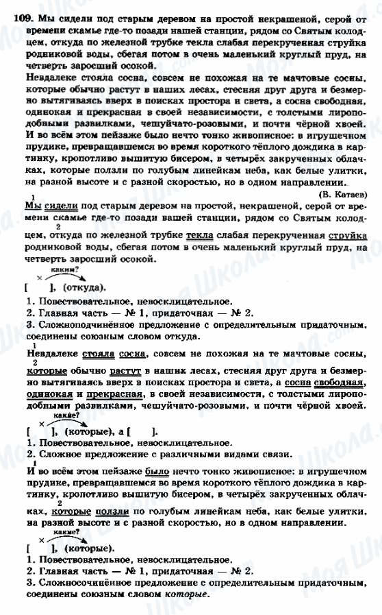 ГДЗ Російська мова 9 клас сторінка 109