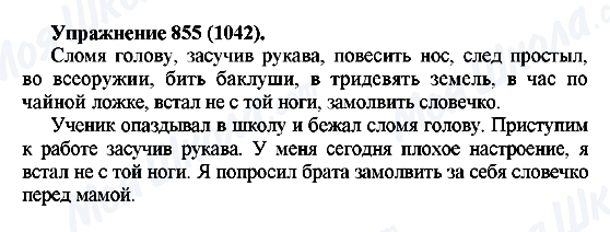 ГДЗ Російська мова 5 клас сторінка 855(1042)