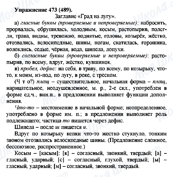 ГДЗ Російська мова 5 клас сторінка 473(489)