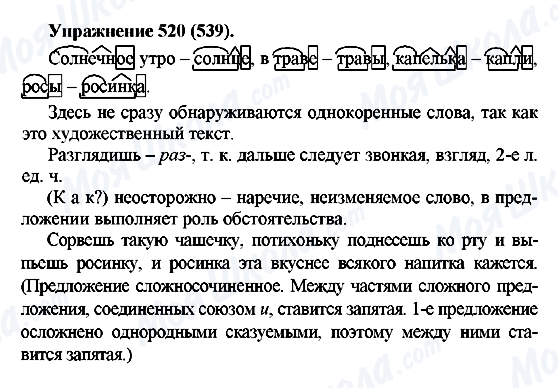 ГДЗ Російська мова 5 клас сторінка 520(539)