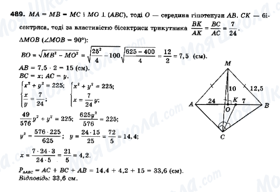 ГДЗ Геометрія 10 клас сторінка 489