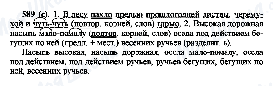 ГДЗ Русский язык 6 класс страница 589(с)