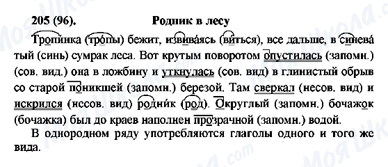 ГДЗ Російська мова 6 клас сторінка 205(96)