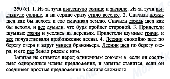 ГДЗ Російська мова 6 клас сторінка 250(с)