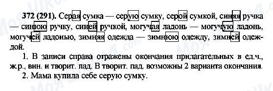 ГДЗ Російська мова 6 клас сторінка 372(291)