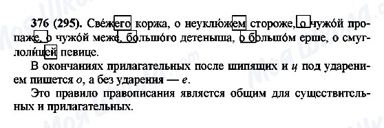 ГДЗ Російська мова 6 клас сторінка 376(295)