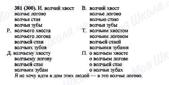 ГДЗ Російська мова 6 клас сторінка 381(300)