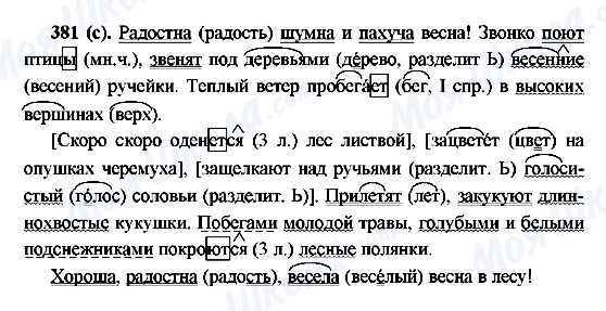 ГДЗ Русский язык 6 класс страница 381(с)