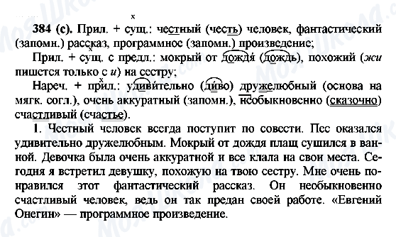 ГДЗ Російська мова 6 клас сторінка 384(с)