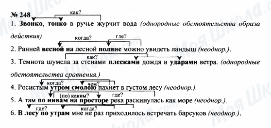 ГДЗ Російська мова 8 клас сторінка 248
