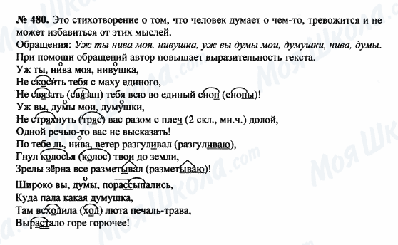 ГДЗ Російська мова 8 клас сторінка 480