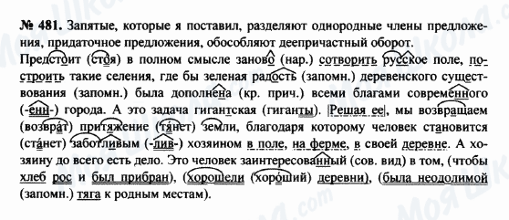 ГДЗ Російська мова 8 клас сторінка 481
