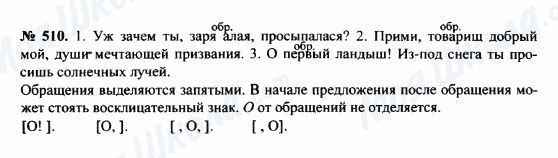 ГДЗ Російська мова 8 клас сторінка 510