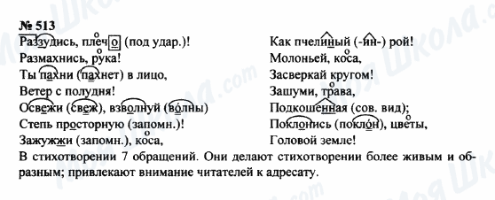 ГДЗ Російська мова 8 клас сторінка 513