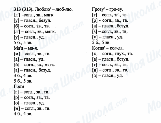 ГДЗ Російська мова 5 клас сторінка 313(313)