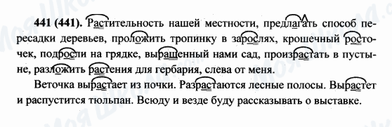 ГДЗ Російська мова 5 клас сторінка 441(441)