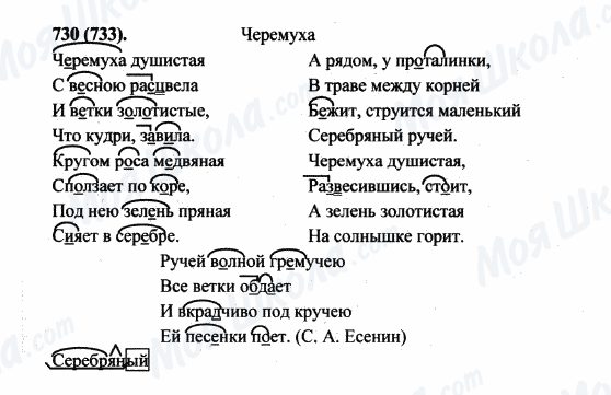 ГДЗ Російська мова 5 клас сторінка 730(733)