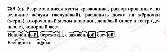 ГДЗ Російська мова 5 клас сторінка 289 (c)