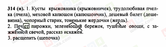 ГДЗ Російська мова 5 клас сторінка 314 (н)