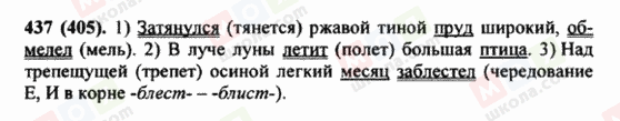 ГДЗ Русский язык 5 класс страница 437 (405)