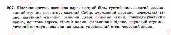 ГДЗ Українська мова 10 клас сторінка 207