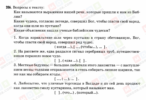 ГДЗ Російська мова 9 клас сторінка 206