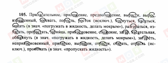 ГДЗ Русский язык 10 класс страница 105