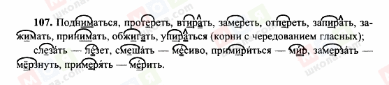 ГДЗ Російська мова 10 клас сторінка 107