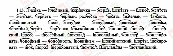 ГДЗ Російська мова 10 клас сторінка 113