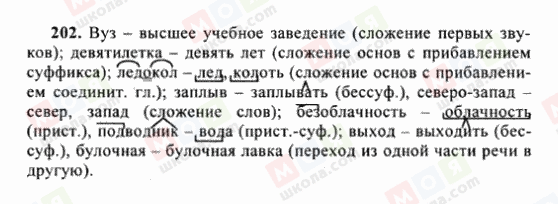 ГДЗ Російська мова 6 клас сторінка 202