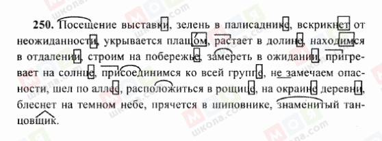 ГДЗ Російська мова 6 клас сторінка 250